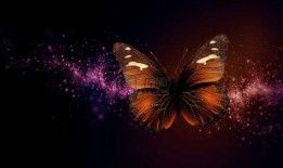 紫蝴蝶在线观看,穿越时空的浪漫传奇