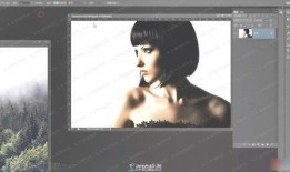 如何做爆料的视频教程,跟随视频教程打造热门内容