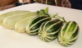 临沂吃瓜网红是谁,揭秘网络红人的崛起之路